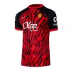 Officiële Voetbalshirt RCD Mallorca Thuis 2024-25 - Heren